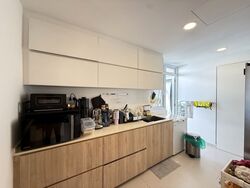 Signature Park (D21), Condominium #501470071